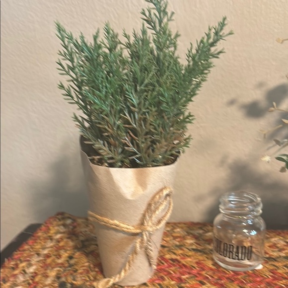 Green Faux Plant in Tan Paper Wrap - Picture 6 of 10